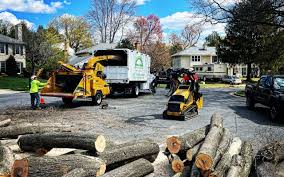 Tree and Shrub Care in French Lick, IN